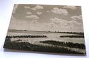 Ansichtskarte NORDSEE-INSEL AMRUM  Norddorf vom Wattendeich - Foto Quedens
