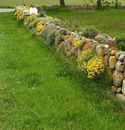Blumenschmuck an Mauer aus eiszeitlichenm Geschiebe in Norddorf