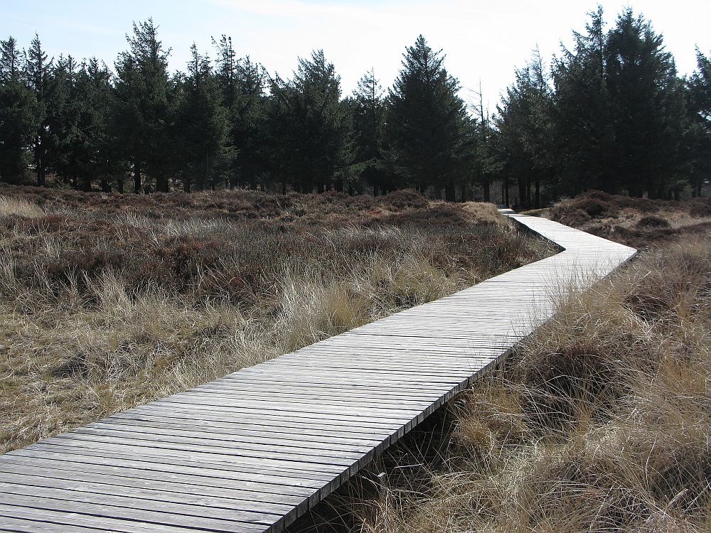 Bohlenweg zur Aussichtsdüne Norddorf