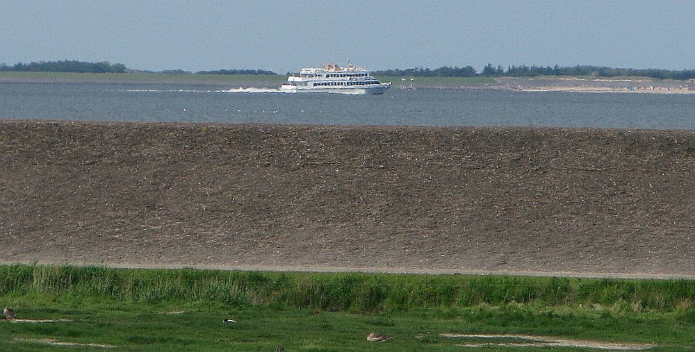MS Adler-Express   Mit High Speed durchs Wattenmeer