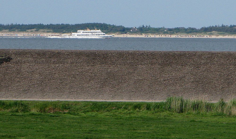 MS Adler-Express   Mit High Speed durchs Wattenmeer (2)