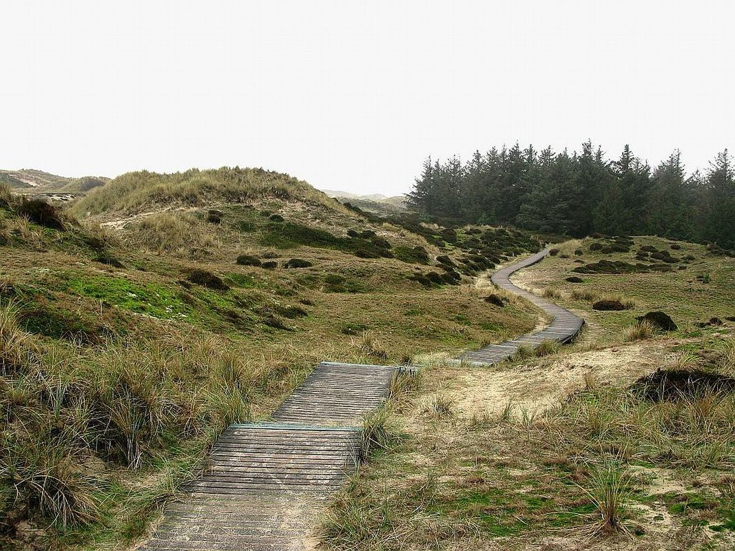 Bohlenweg in Amrums nördlicher Dünenwelt