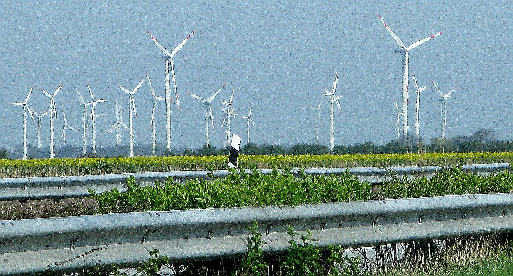 Windräder "begrüßen" uns in Schleswig-Holstein (2)