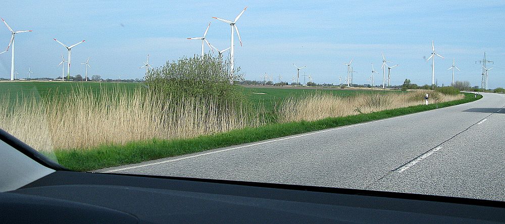 Windräder "begrüßen" uns in Schleswig-Holstein (3)