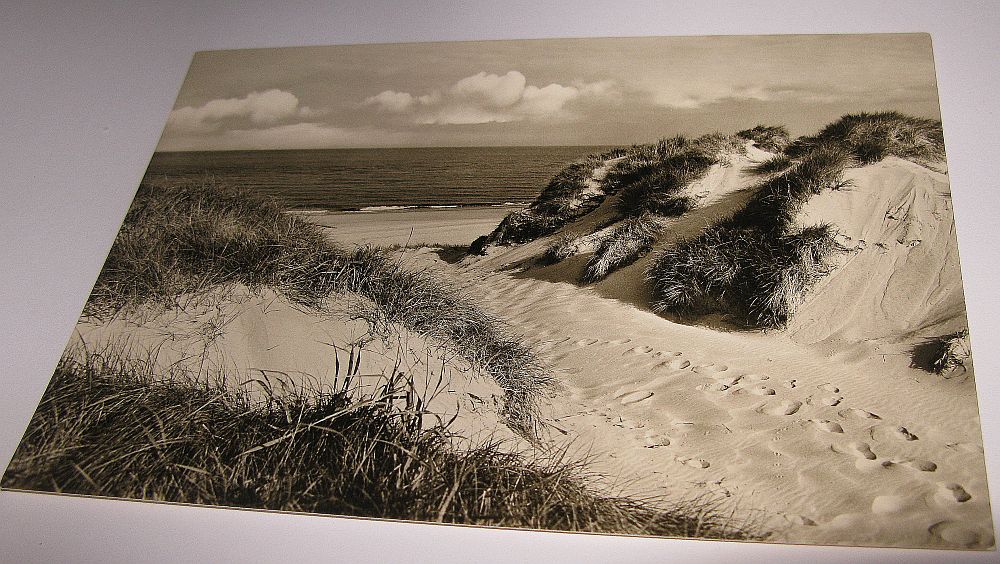 Ansichtskarte NORDSEE-INSEL AMRUM   Dünen und Meer - Foto von Georg Quedens