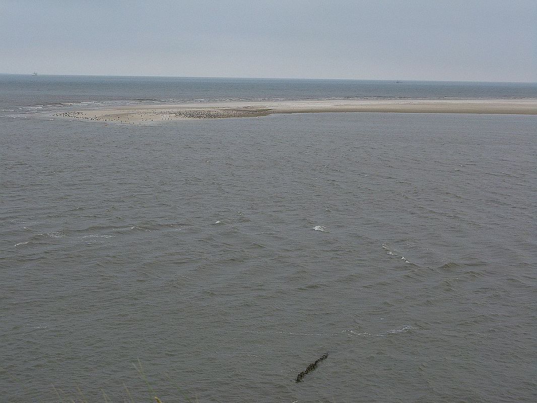 Blick von der Oberen Wandelbahn in Wittdün hinüber zur Südspitze der Sandbank Kniepsand