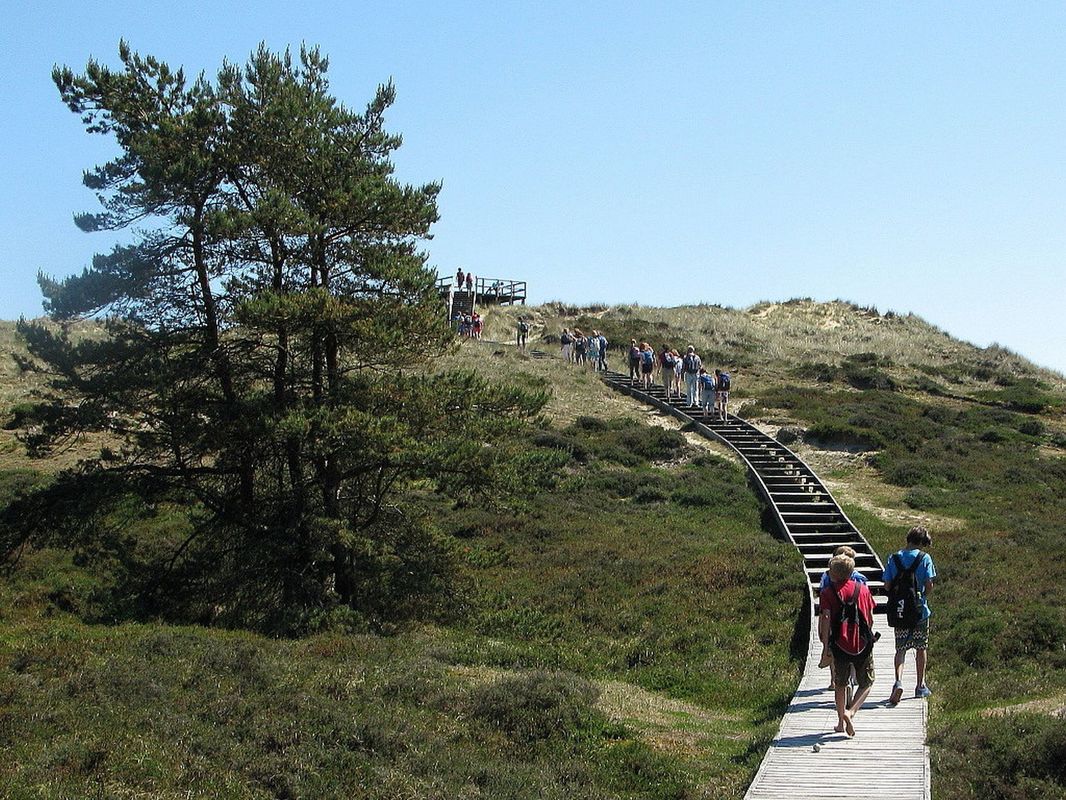 Schüleransturm auf die Aussichtsdüne bei Süddorf