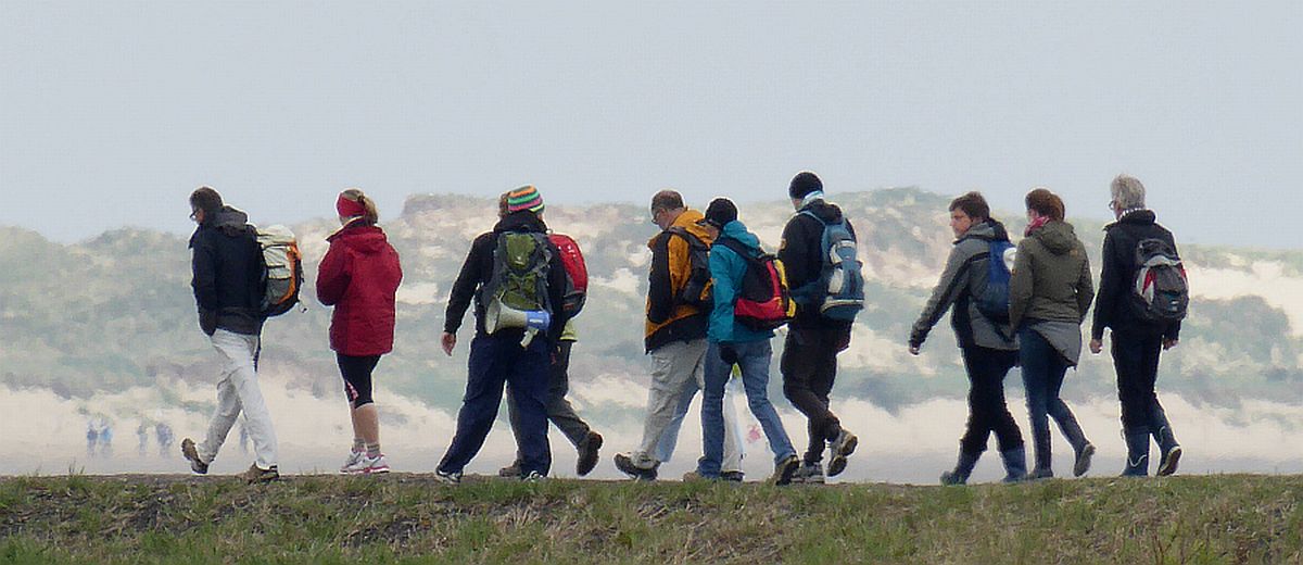 größere Gruppe auf dem Teerdeich unterwegs