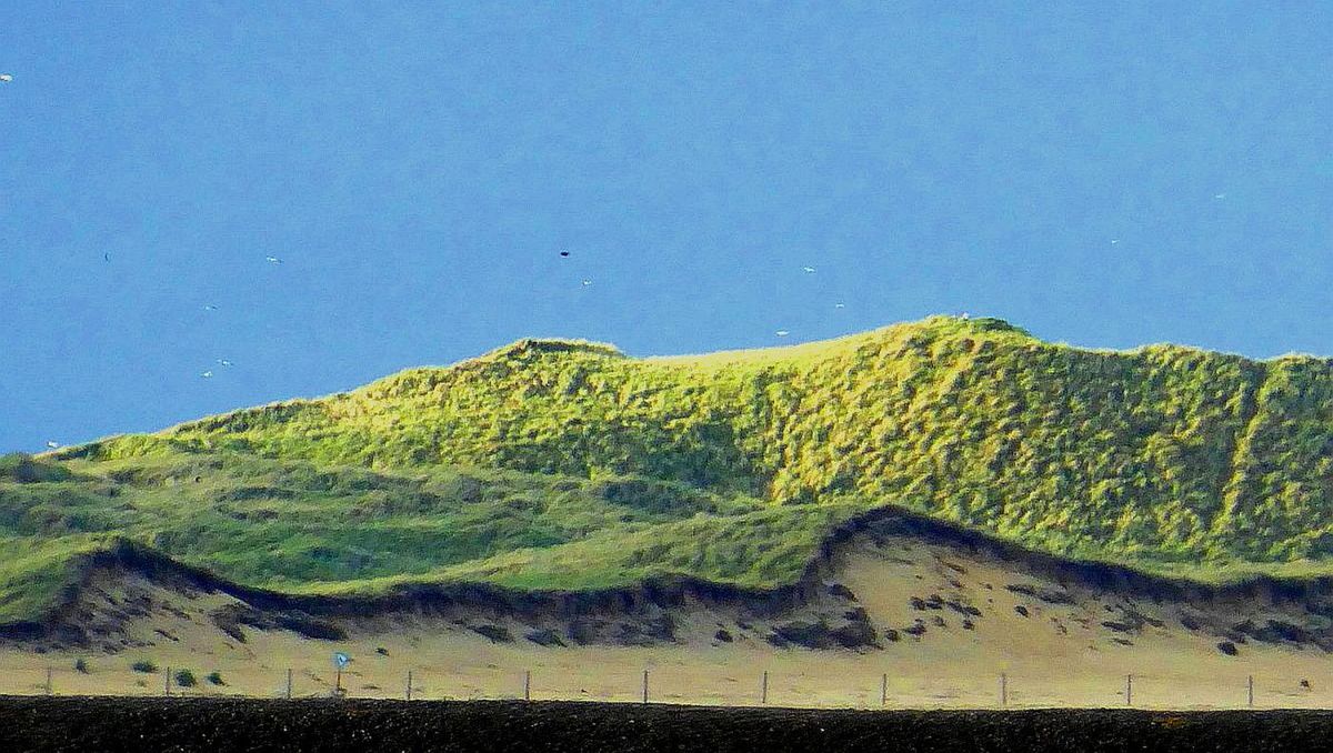 Odde-Dünen im Sonnenlicht