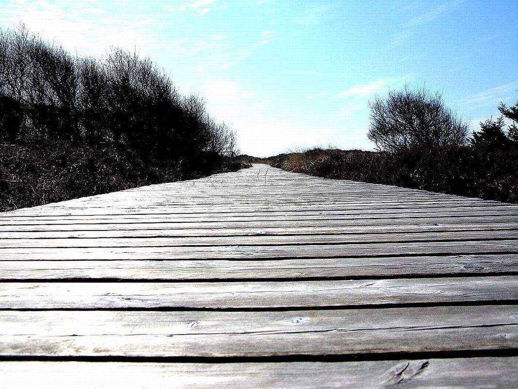 Bohlenweg