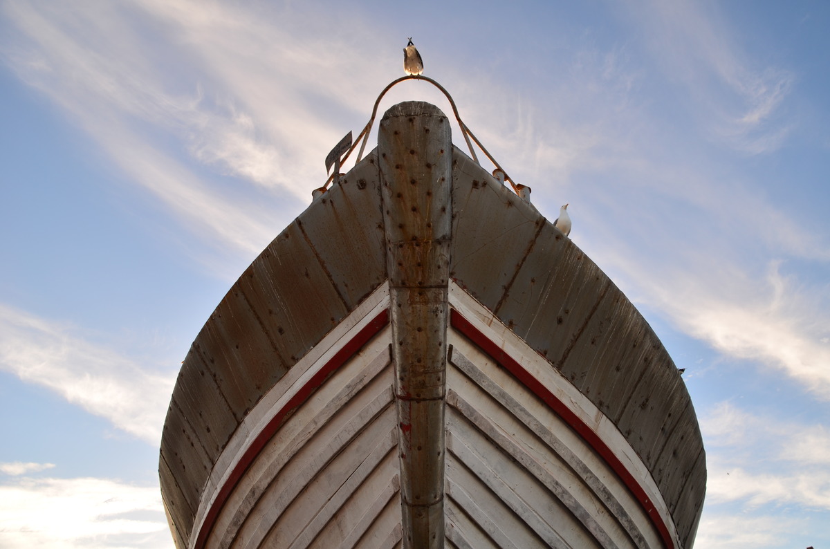 Im Hafen von Essaouira