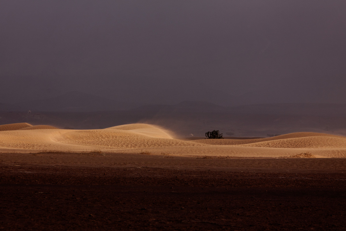 Sturm in der Wüste