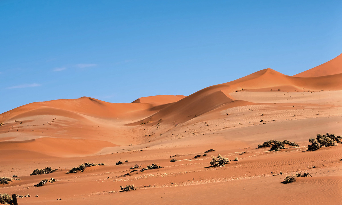 In der Namib