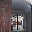 donauschifffahrt 11