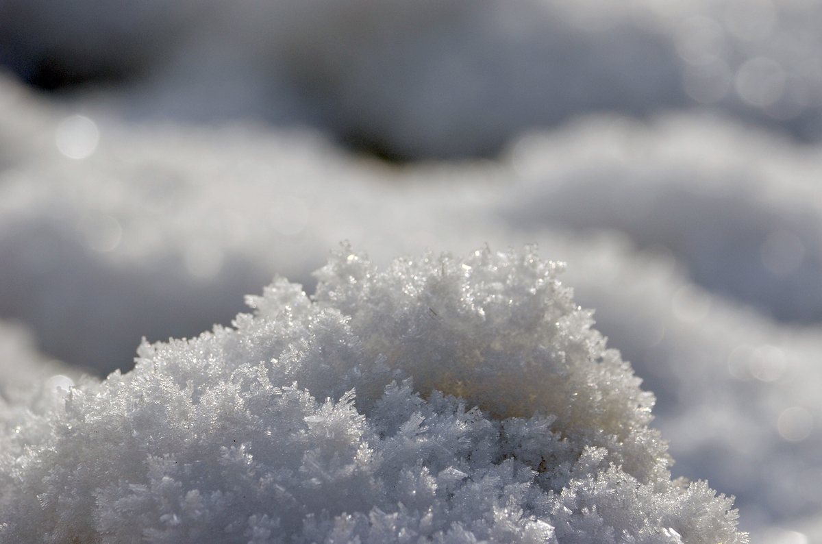 Schnee. Rauhreif.