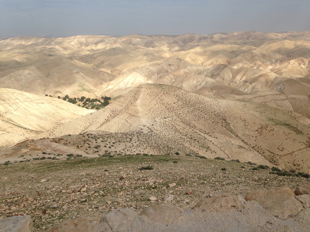 Judäische Steinwüste Israel ...