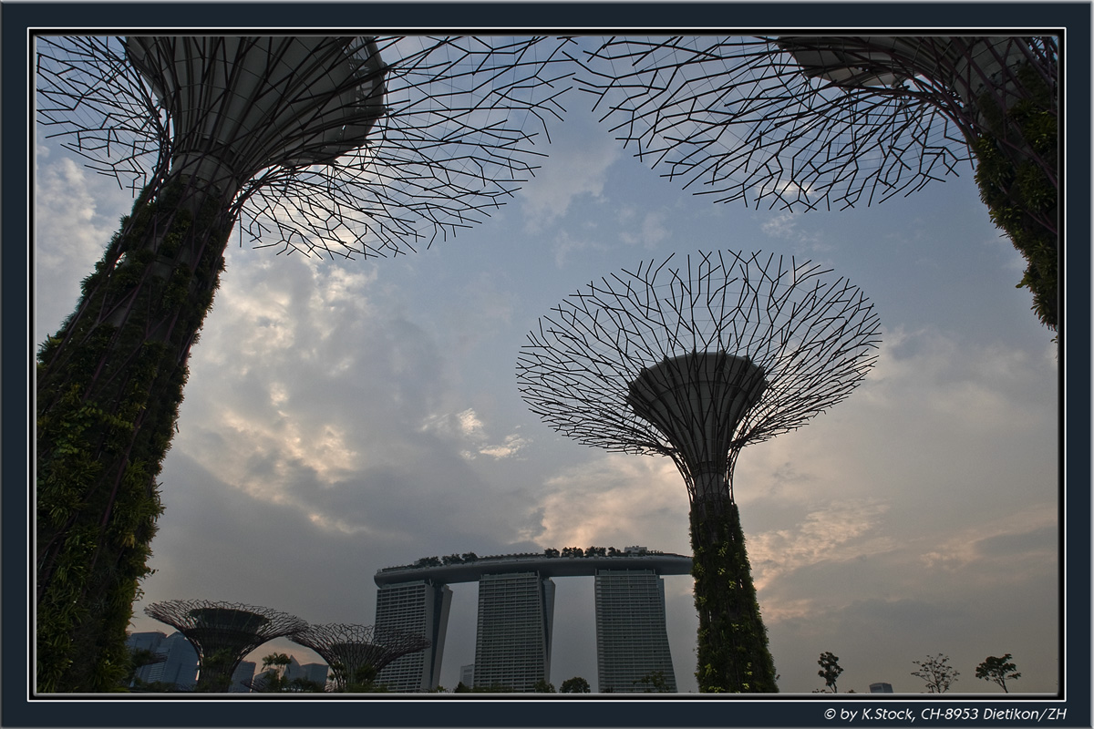Gardens By The Bay (Bay South) near Marina Bay