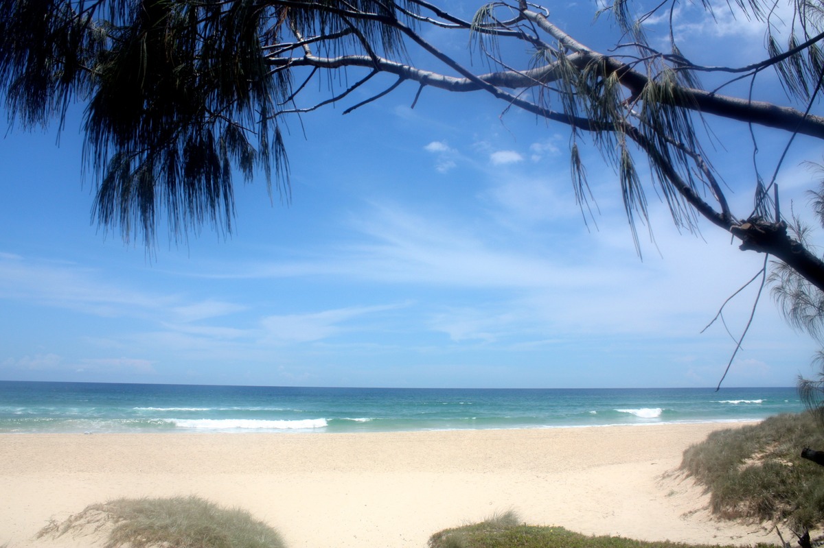 Paradies