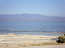 the salton sea, colorado desert, california