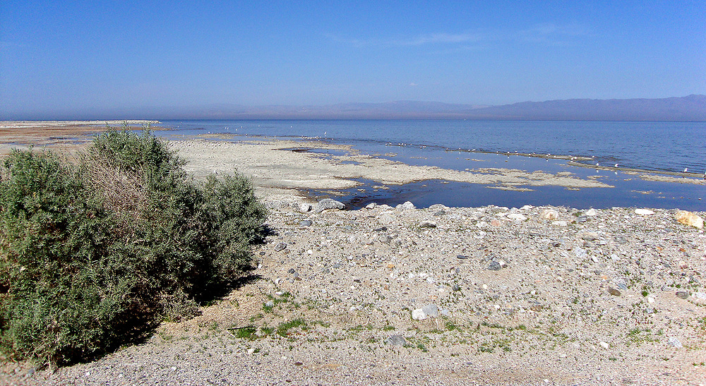 the salton sea, colorado desert, california