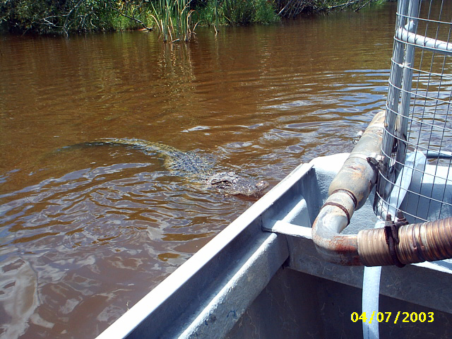 Everglades