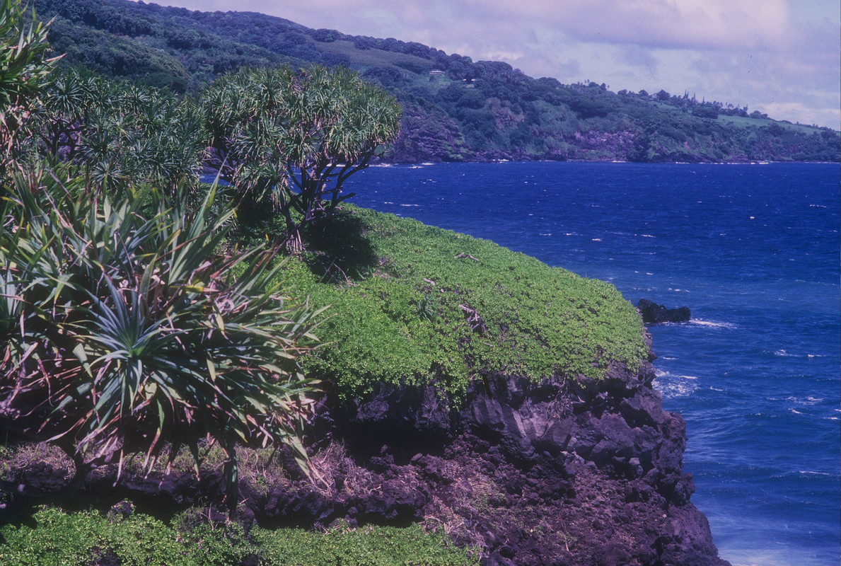 AN DER HANA-ROAD AUF DER INSEL MAUI - HAWAII