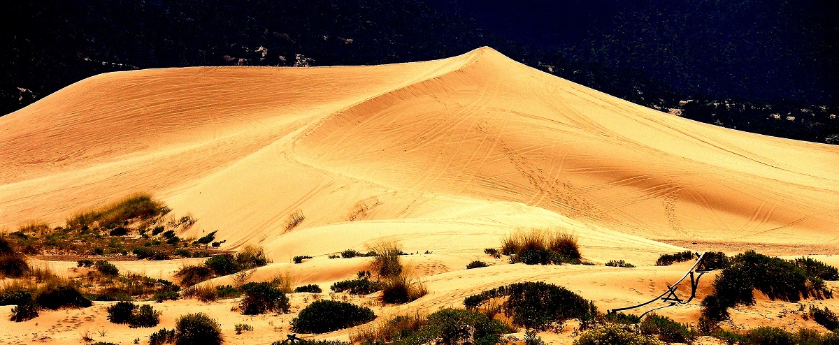 Coral Pink Sand Dunes