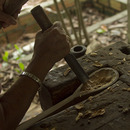 Fotos_Brazil