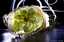 Lichtspiel