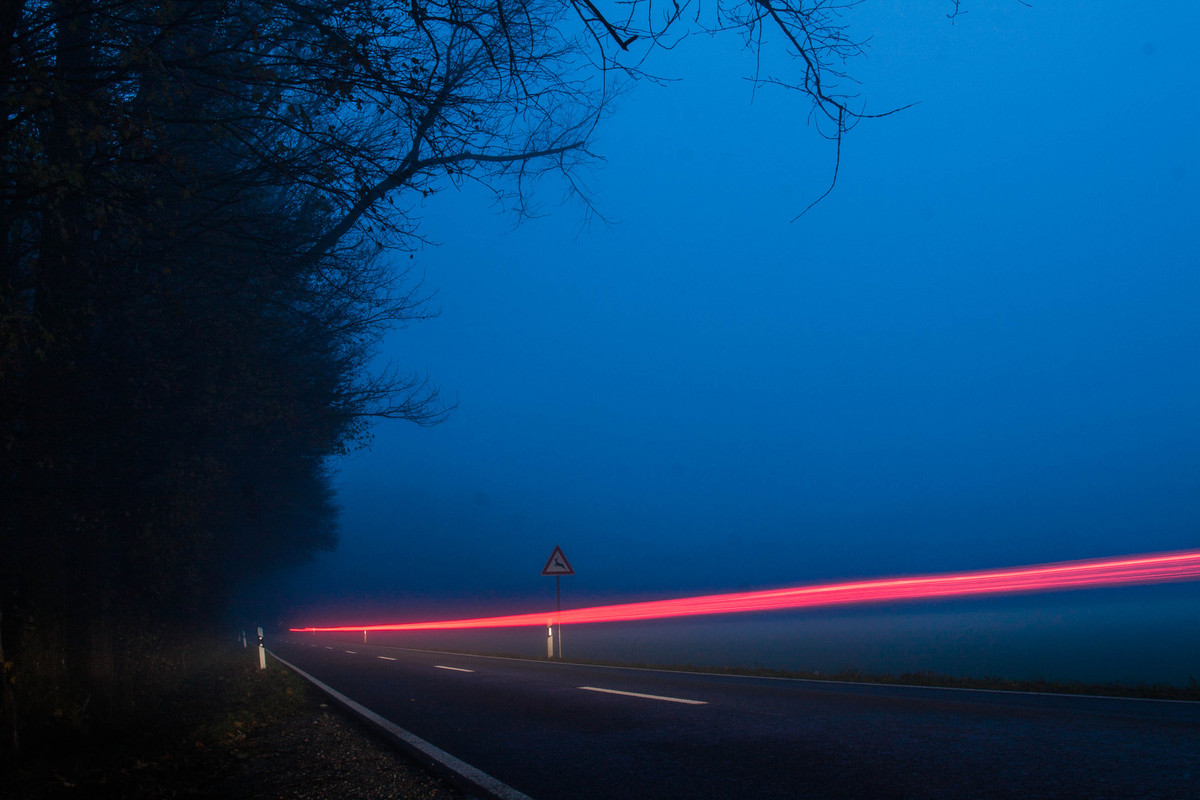 Nebel im Wald