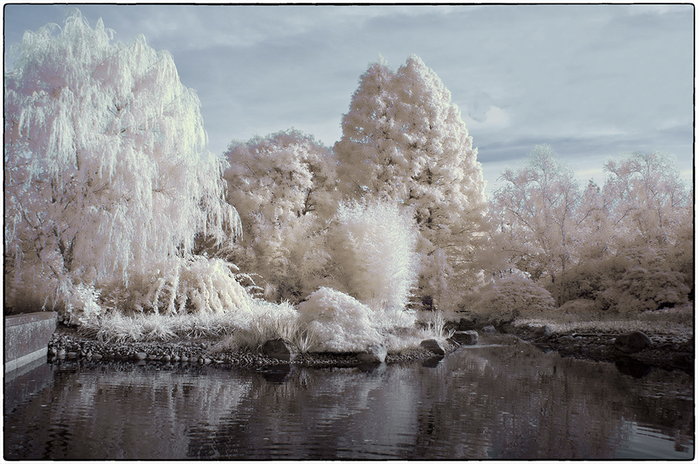 Im Botanischem Garten