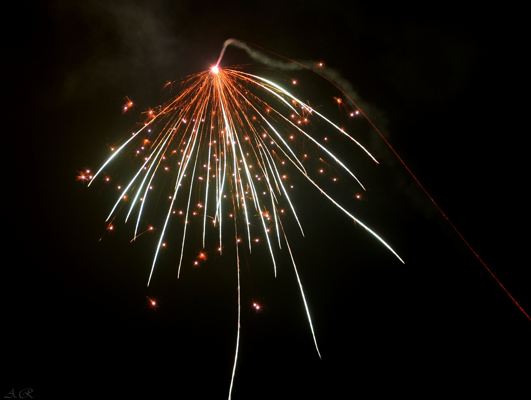 Ein Frohes und Gesundes Jahr 2016!