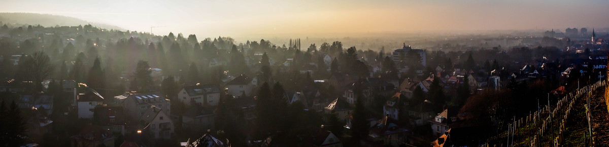 Der winterliche Blick auf die Rheinebene bei Karlsruhe