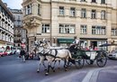 Der Fiaker in Wien_1