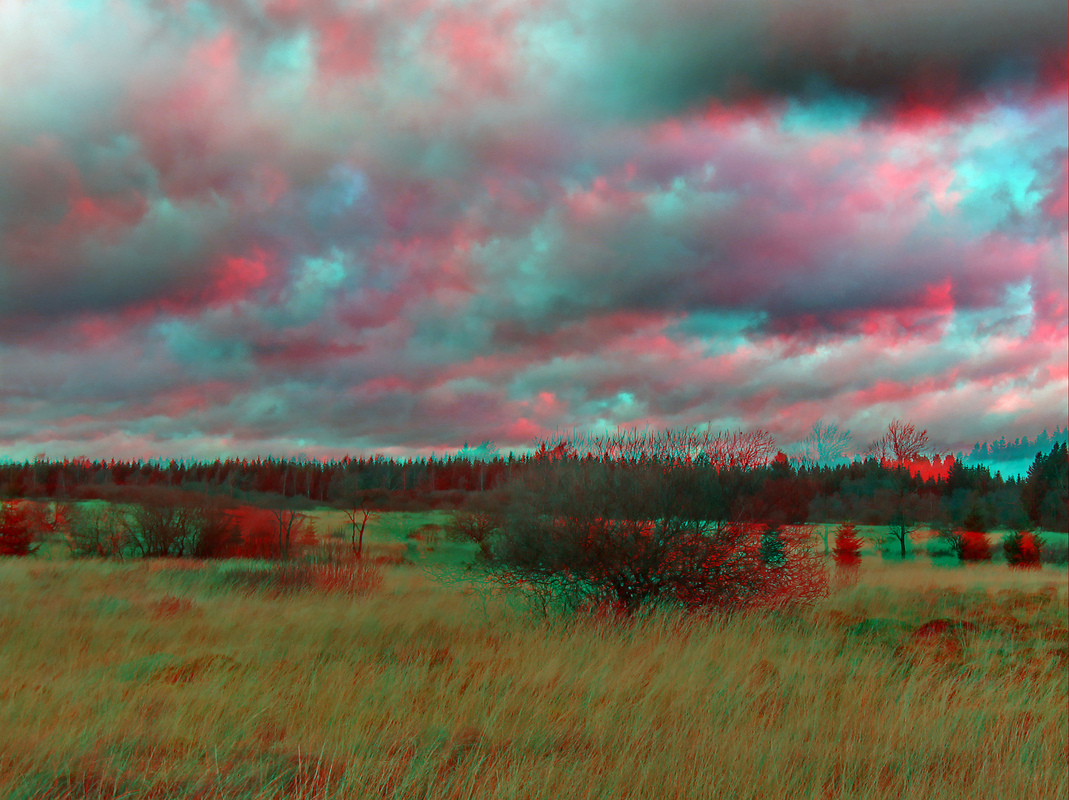 Herbst im Hohen Venn