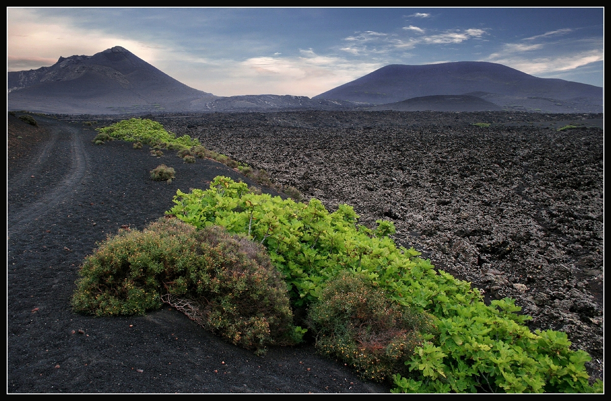 Timanfaya Naturpark (Lanzarote) 