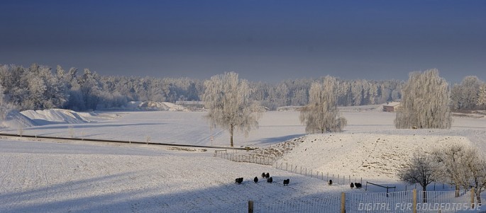 Winterland