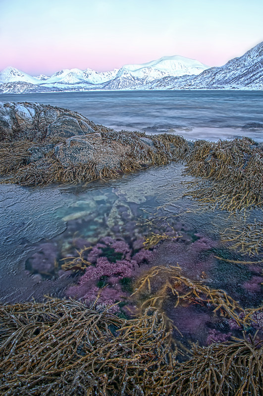 Norwegen
