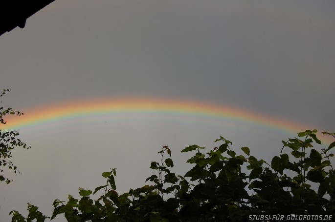 Regenbogen