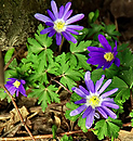 Fotos_Fotowettbewerb-2010-März