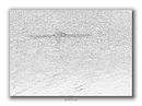 Fotos_Experimente