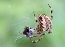 Einpacken für schlechte Zeiten