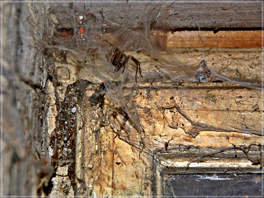 Ich wollte gar nicht so genau wissen ...