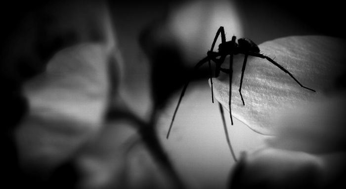 leise...