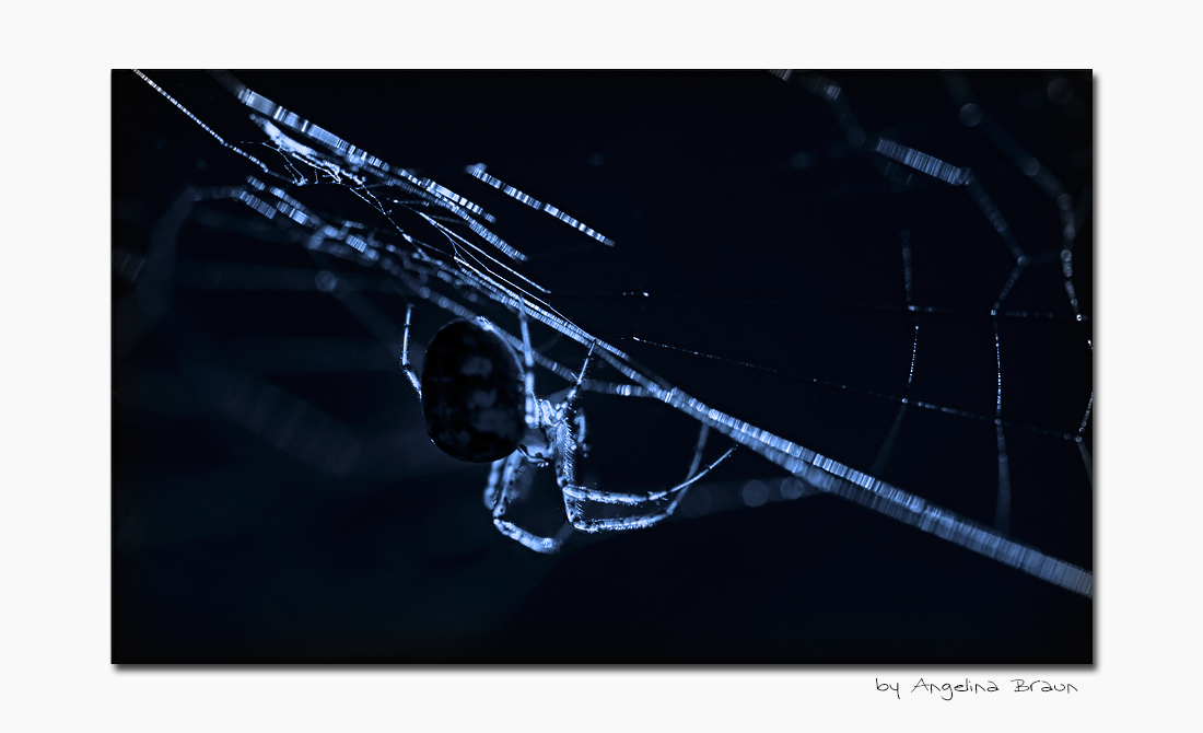illuminated blue