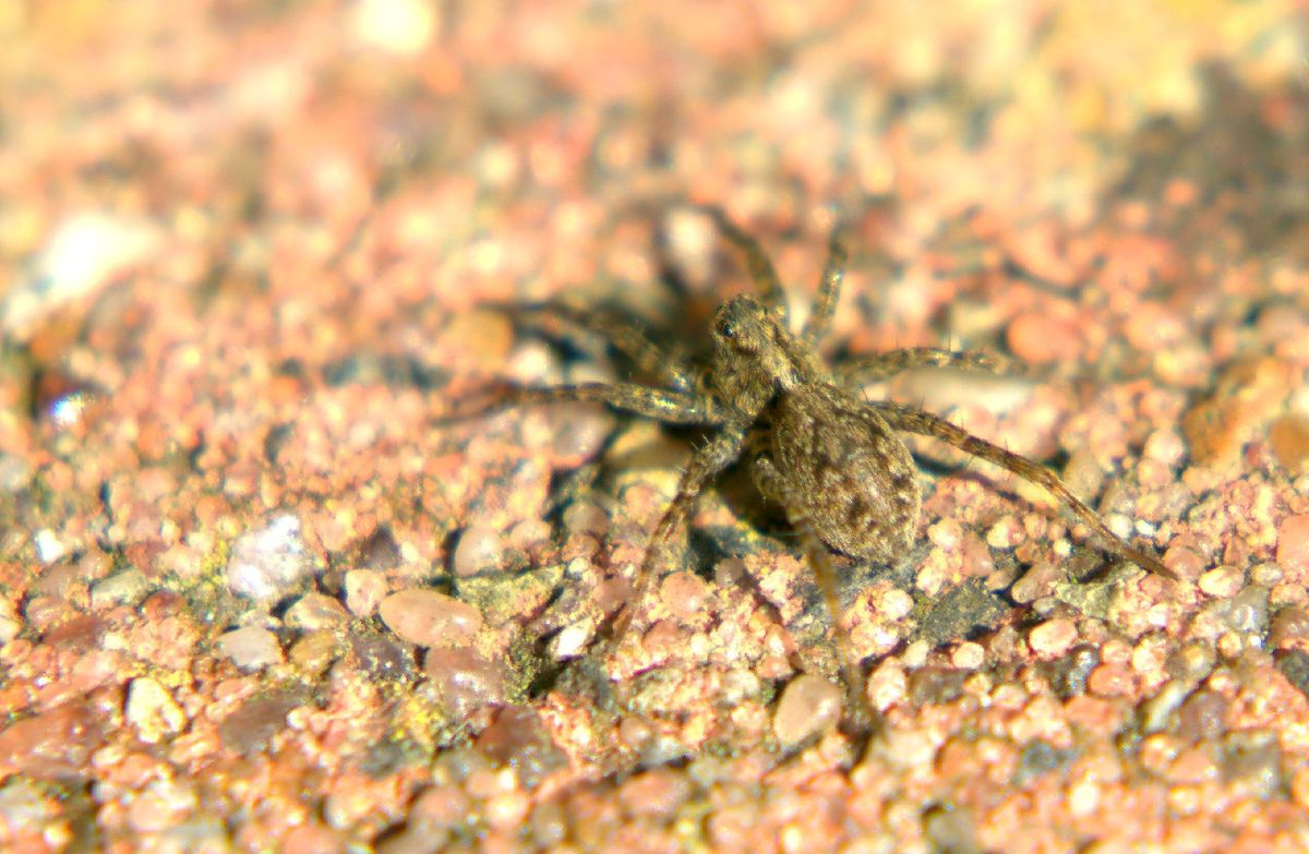 Verfolgst Du mich etwa?