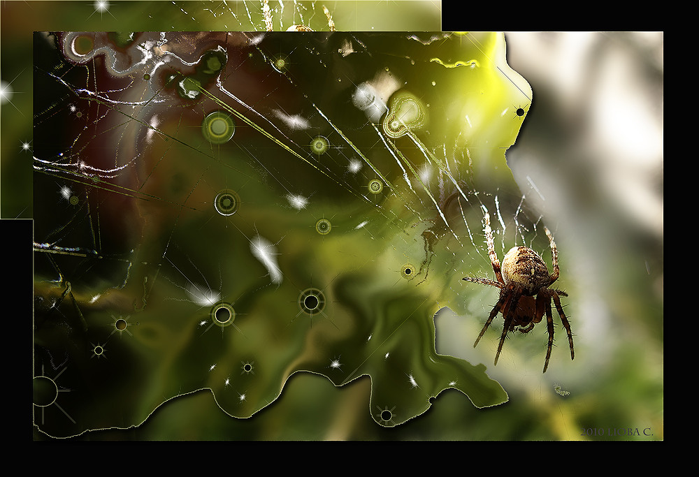 creative spider :-)
