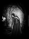Fotos_DarkArt