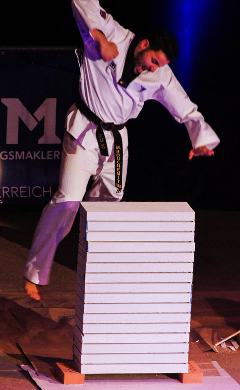 Budogala 2013 in Krems/Donau