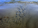 Sommer am Meer.